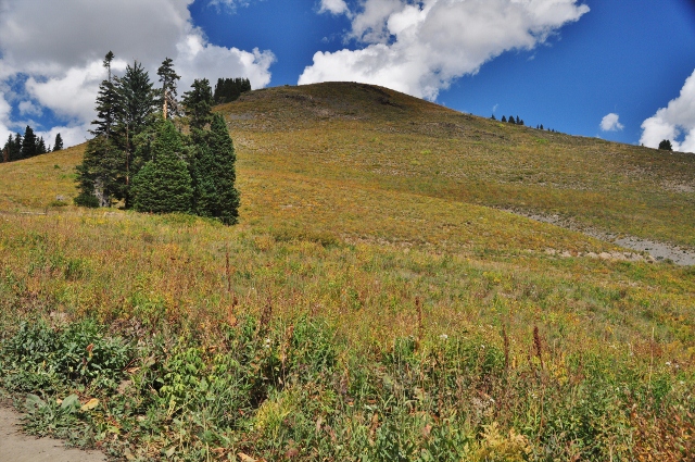 Lead King Basin 
